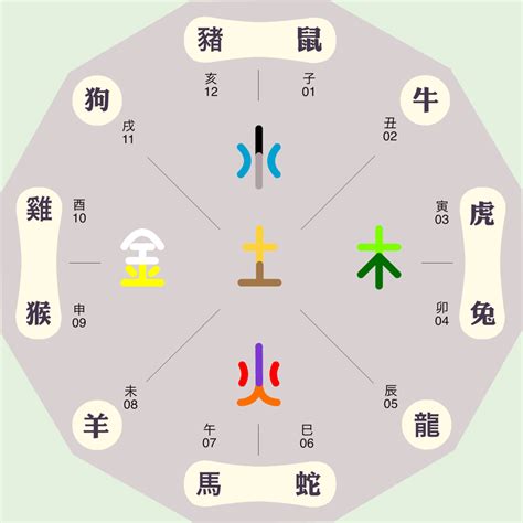 地支五行表|天幹地支